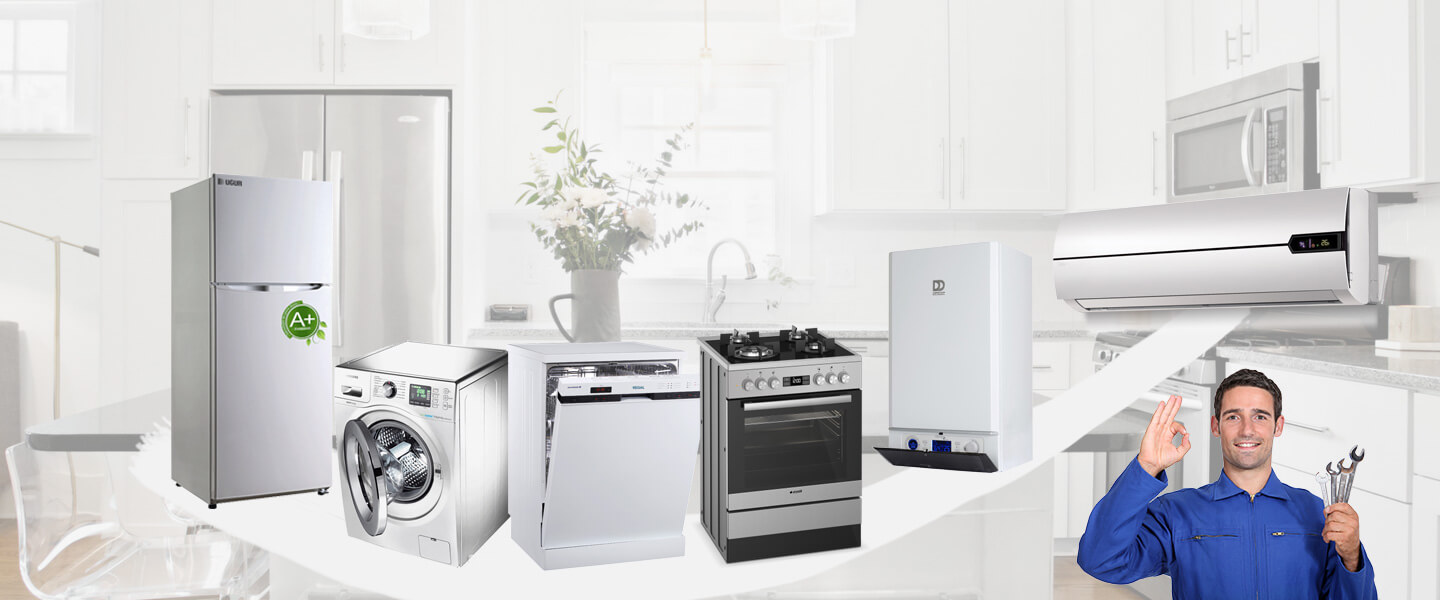 Çine Windsor Servisi